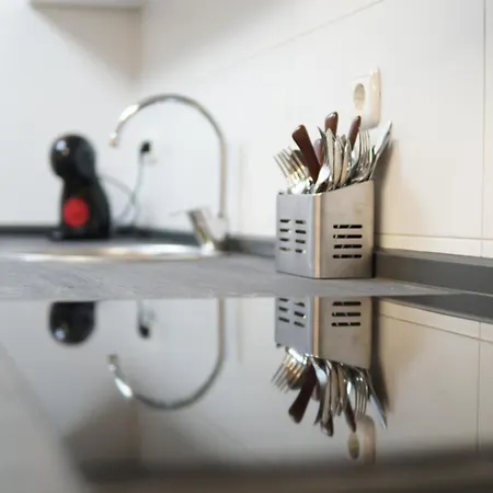 Casa Fausto Lasarte-oria 公寓 *