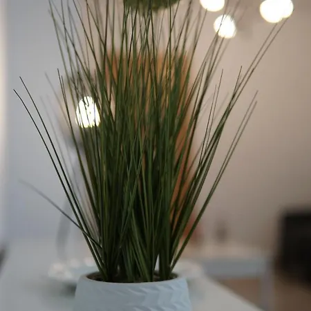 Casa Fausto Lasarte-oria 아파트 Lasarte Oria